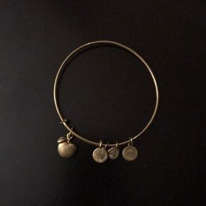 💖REDUCED💖 Alex & Ani Apple of Abundance Bangle